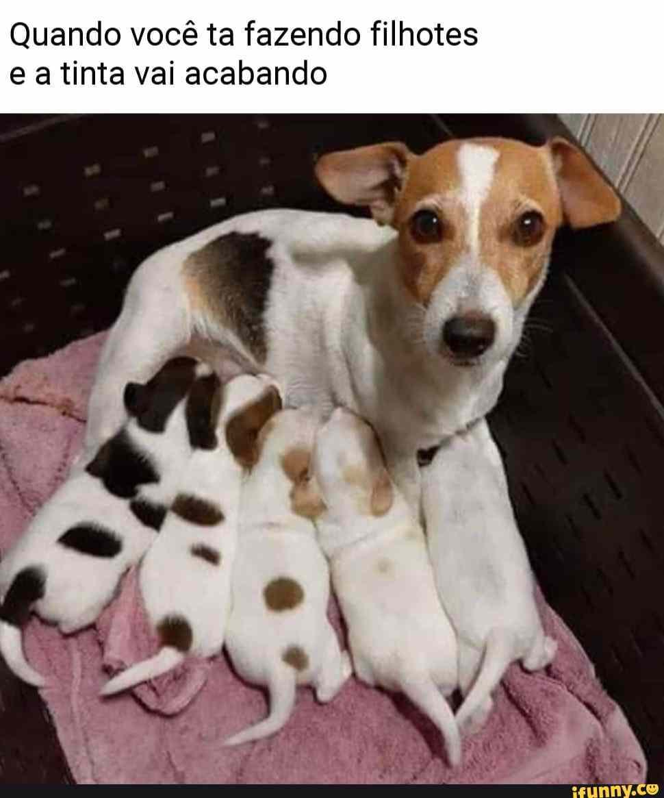 Quando você ta fazendo filhotes
ea tinta vai acabando