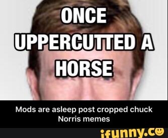 Featured image of post Chuck Norris Memes Cropped : While he was a skilled martial artist and had a good run as an action star, it&#039;s amusing to imagine him as.