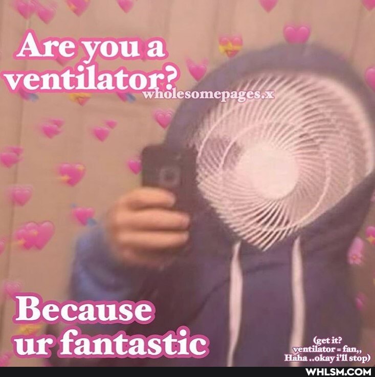 Are YOU ventilator?
Because ur fantastic