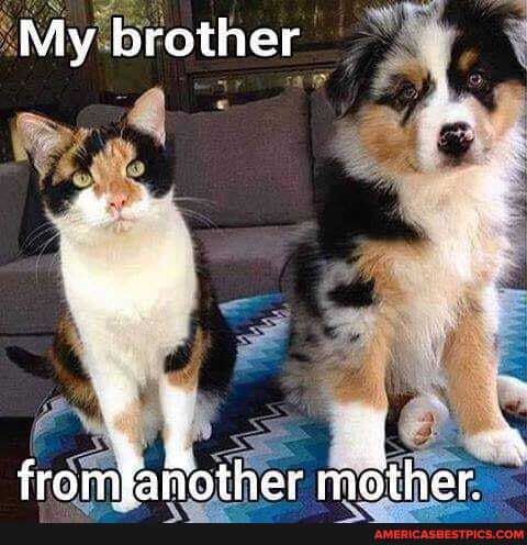My brother
fromfanother mother.