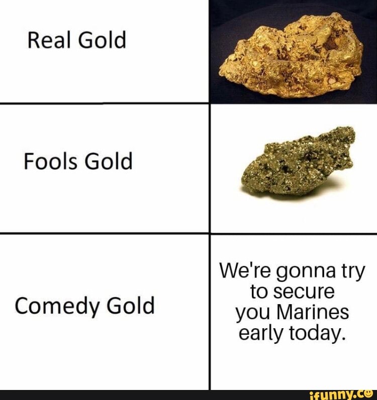 Real Gold Fools Gold )