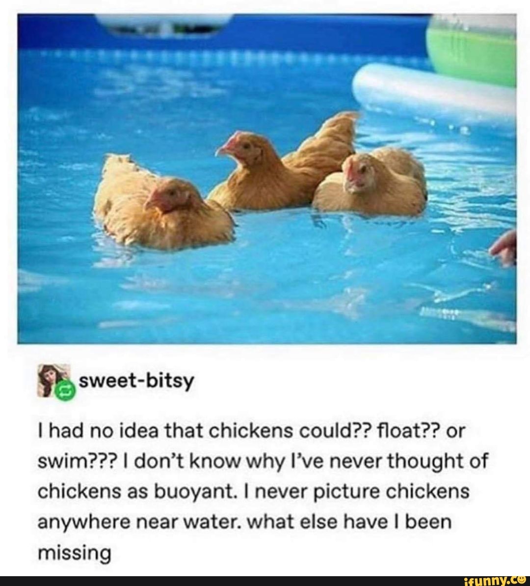 grilled chicken thoughts