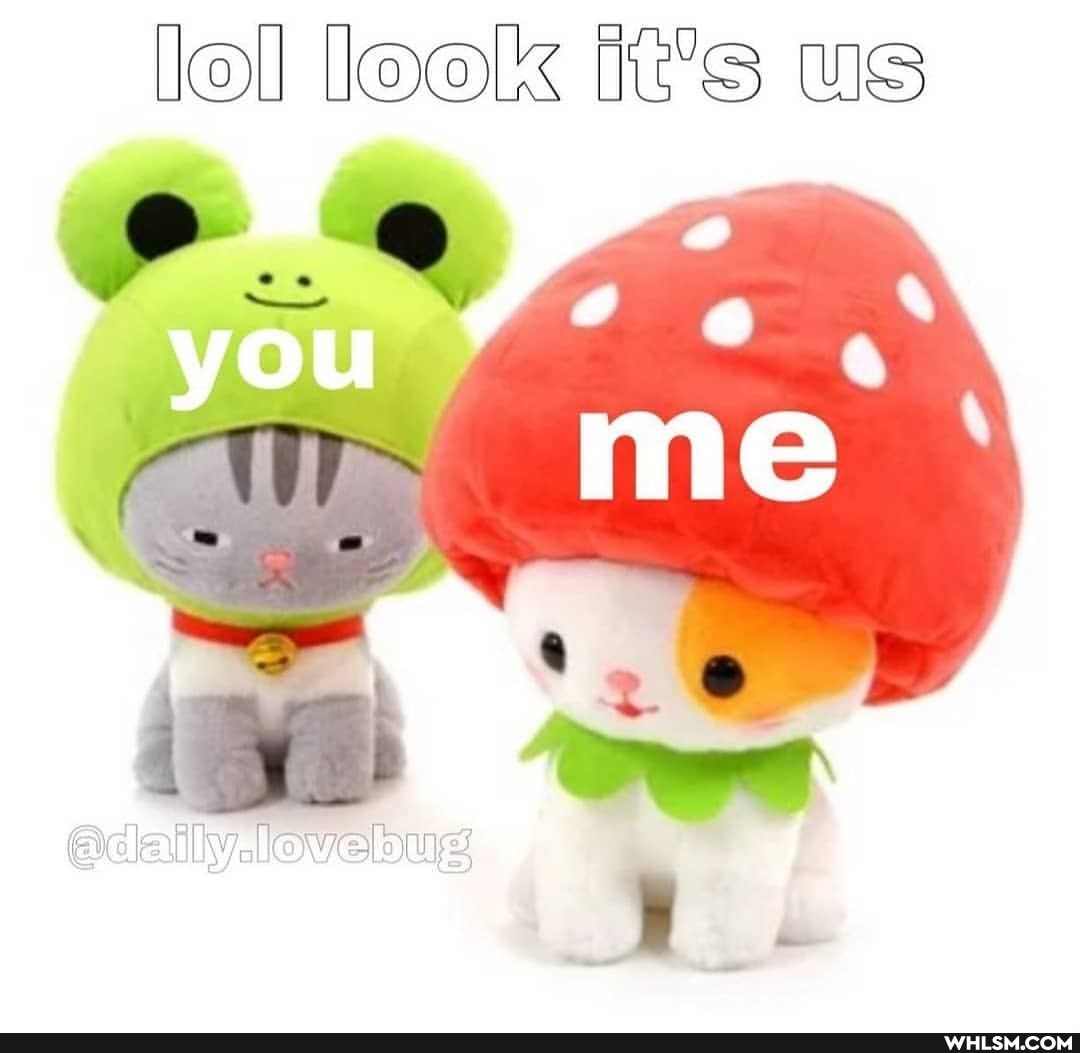 loll look it's us