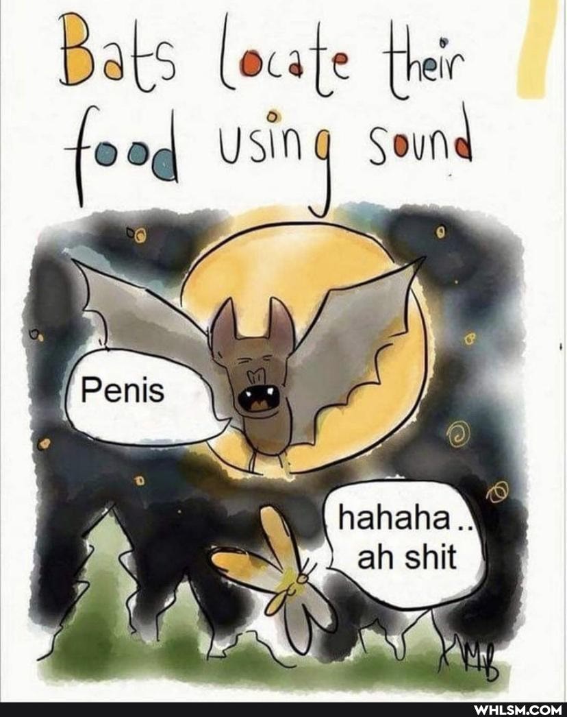 Bats (ocafe their od usin Sound
\ ah shit hahaha