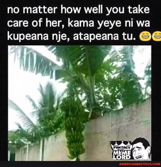 no matter how well you take care of her, kama yeye ni wa kupeana nje, atapeana tu. @GE
x oe
aM mi