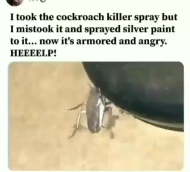 I took the cockroach killer spray but I mistook it and sprayed silver