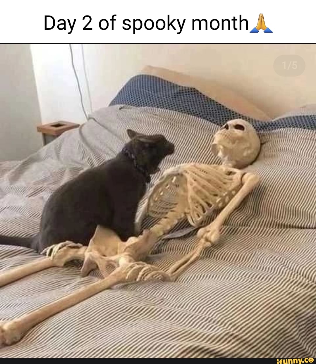 Spooky month (1-5) 