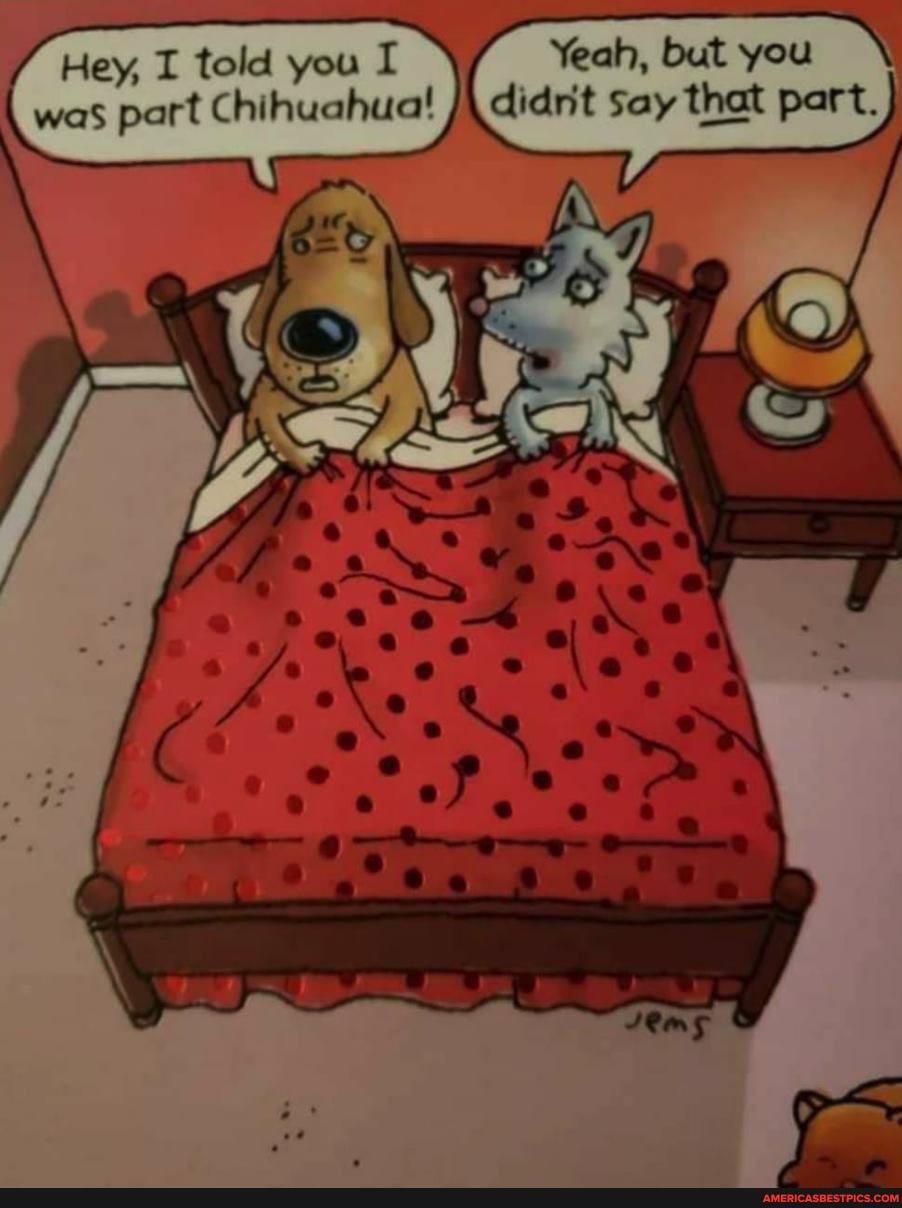 Hey, I told you I Yeah, but you was part Chihuahua! didrit say that part.