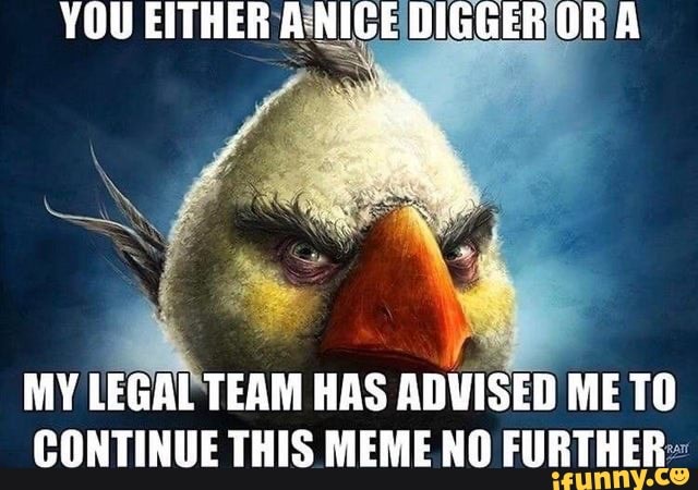You Either A Nice Digger Or A My Legal Team Has Advised Me To Continue This Meme No Further