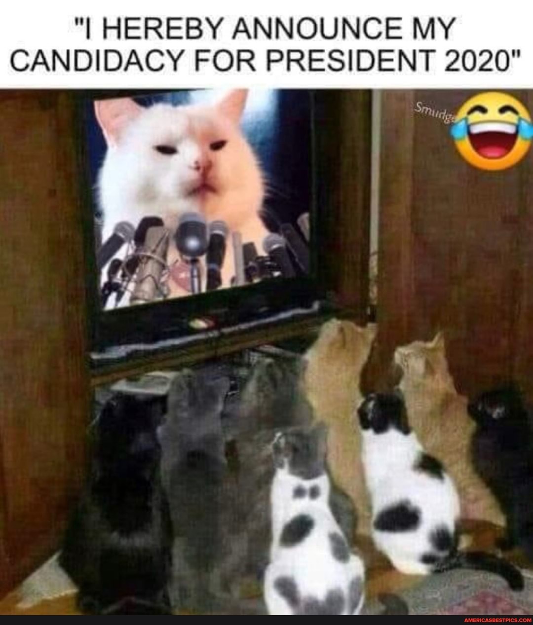 "I HEREBY ANNOUNCE MY
CANDIDACY FOR PRESIDENT 2020"