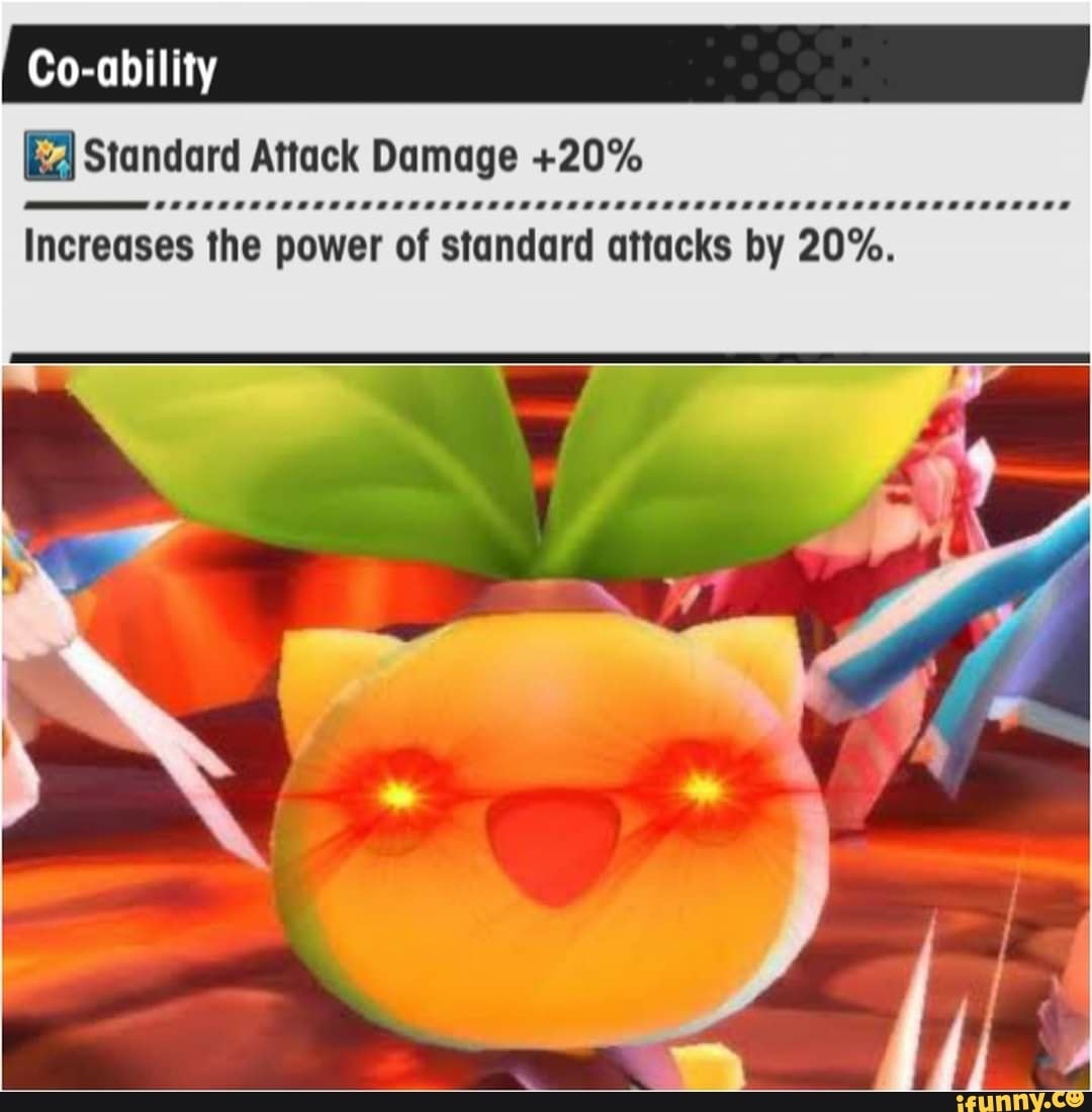 Standard Attack Damage +20%