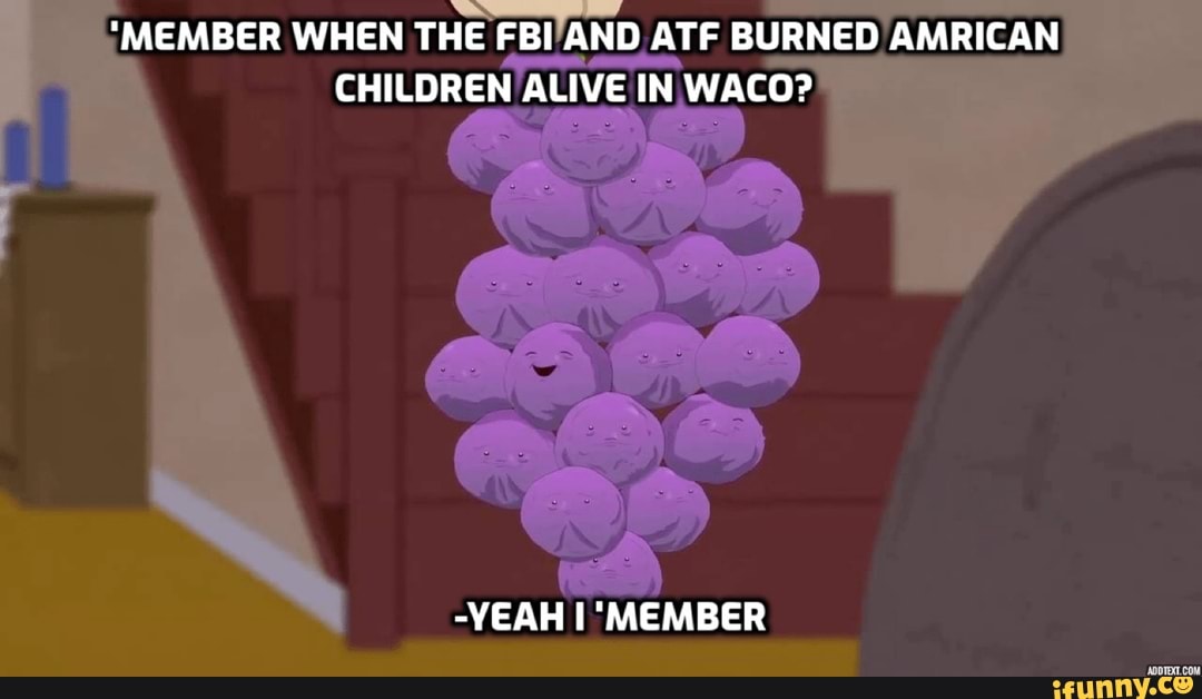 ¡MEMBER WHEN THE
FBI/AND ATF BURNED AMRICAN
CHILDREN ALIVE IN WACO?