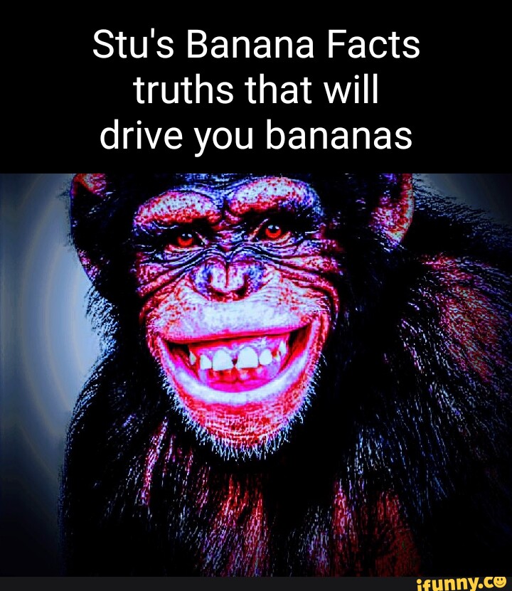 Stu's Banana Facts truths that will drive you bananas AS iFunny