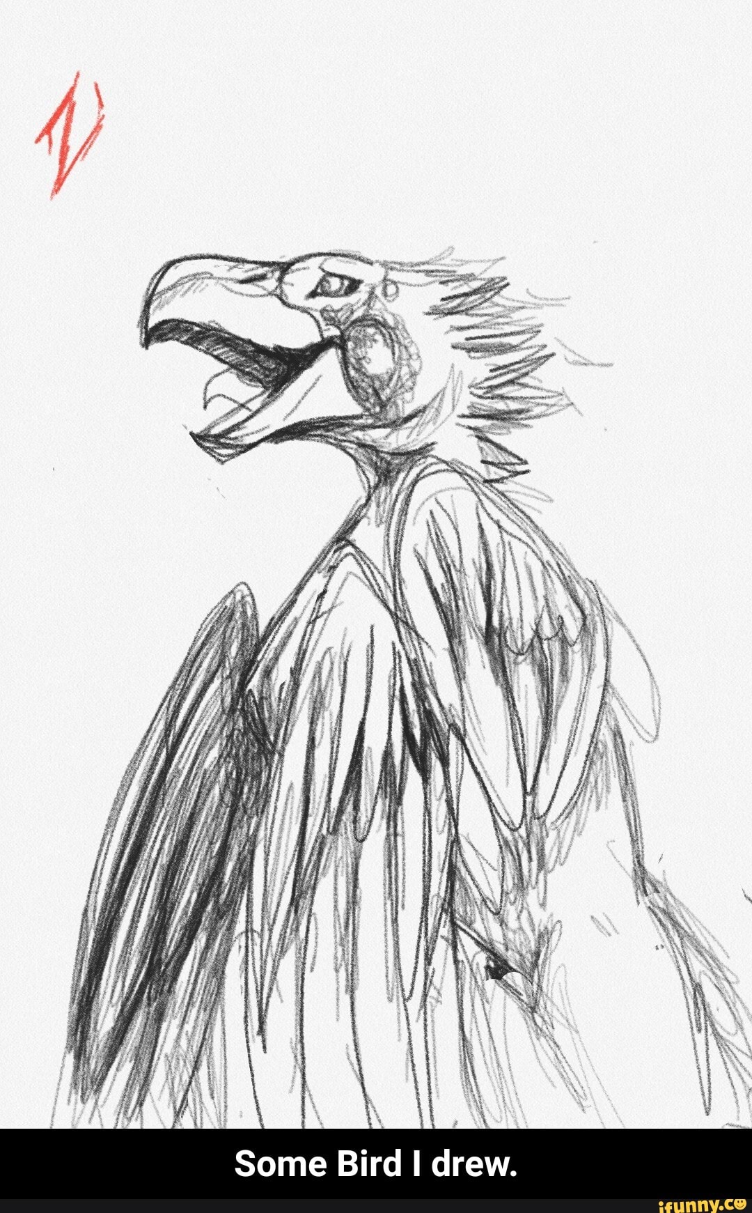 Some Bird I drew.