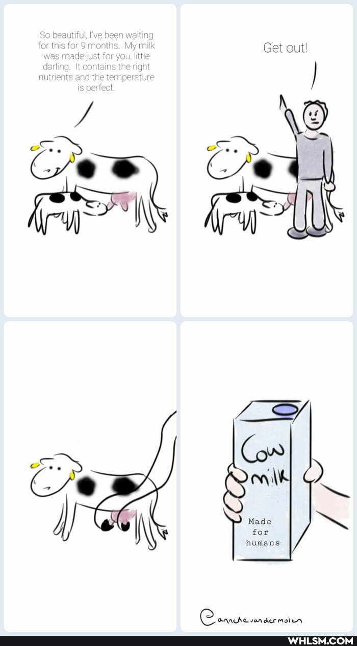 So bean
for this for 9 months. My milk was made just for you, little
daring, the
and the
is
Get out!
