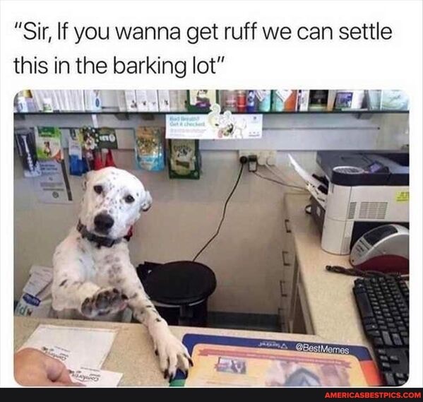 "Sir, If you wanna get ruff we can settle this in the barking lot"