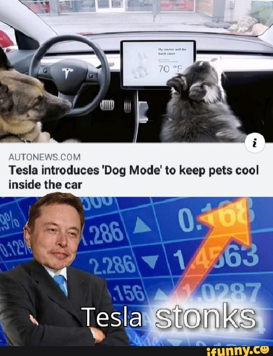 “J m M Tesla i reduces 'Dog Mode' to keep pets cool inside the car - iFunny