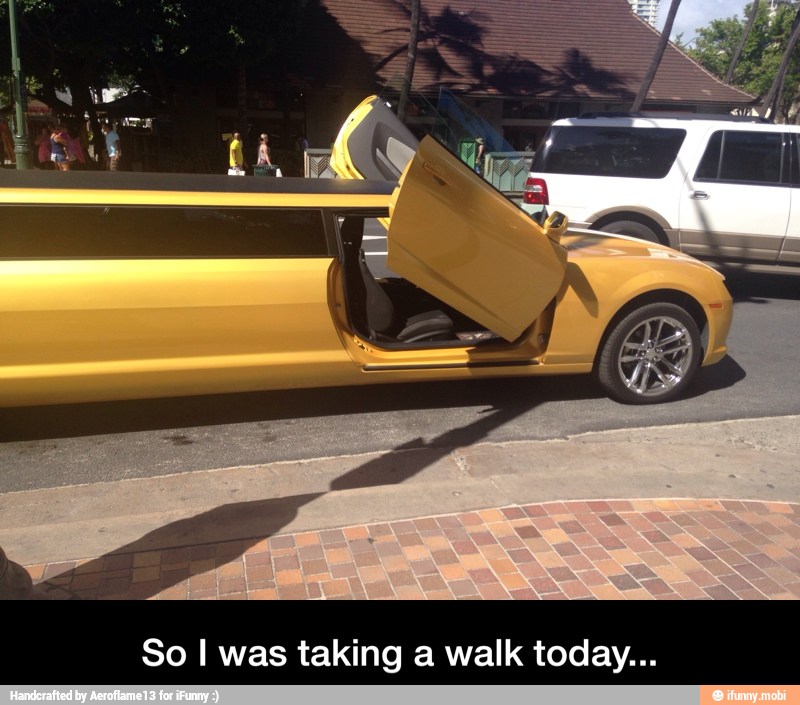 So I was taking a walk today... - So I was taking a walk today...