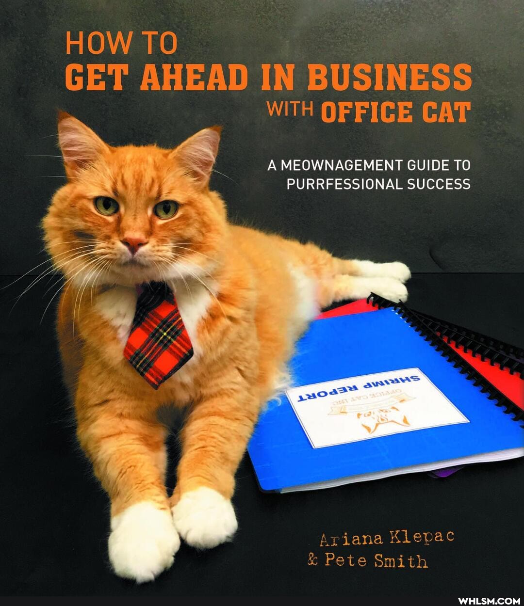 HOW TO
GET AHEAD IN BUSINESS WITH OFFICE CAT
A MEOWNAGEMENT GUIDE TO PURRFESSIONAL SUCCESS
Ariana Klepac
& Pete Smith