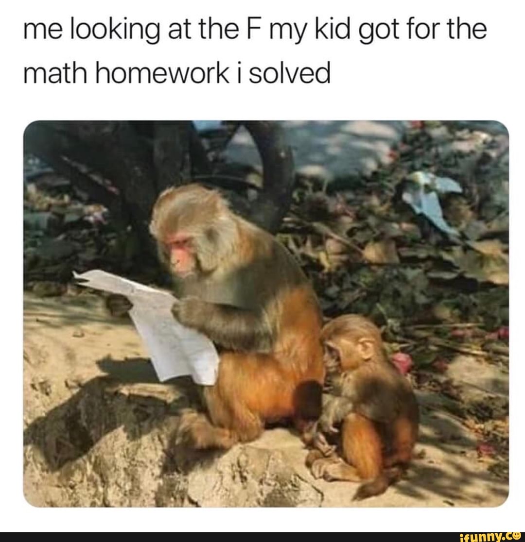 Me looking at the F my kid got for the math homework i solved iFunny