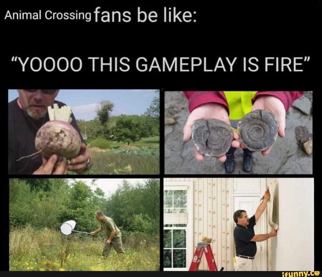 Animal Crossing fans be like:
"YOOOO THIS GAMEPLAY IS FIRE"