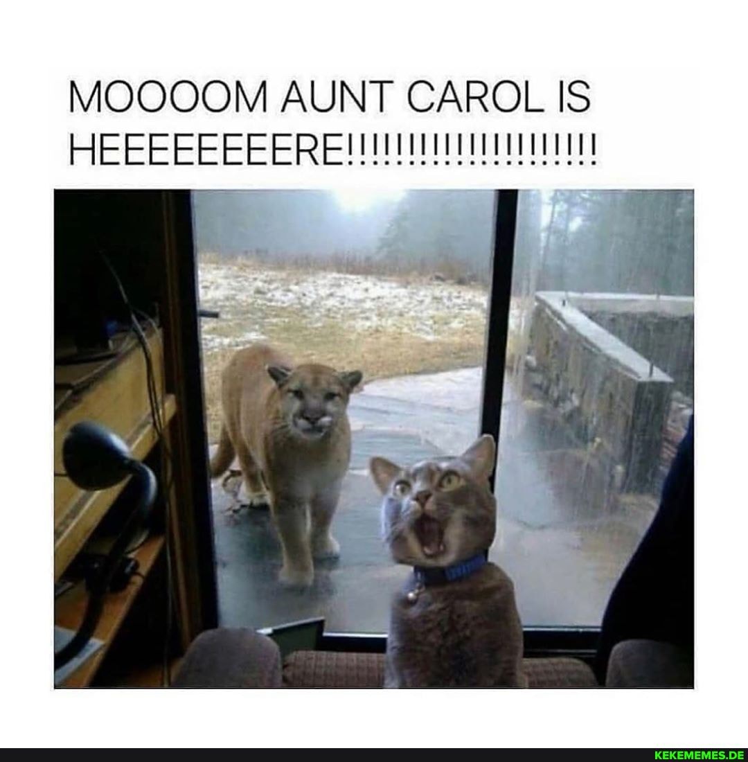 MOOQOOM AUNT CAROL IS
HEEEEEEEERE!