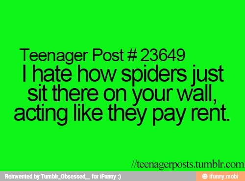 Teenager Post 4 23649
I I hate how spiders just
sit there on your wall,
acting like they pay rent.
