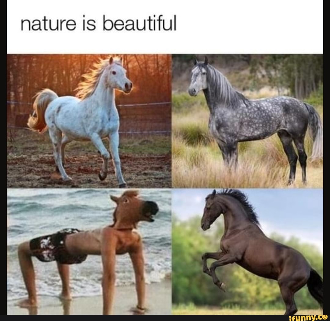 nature is beautiful