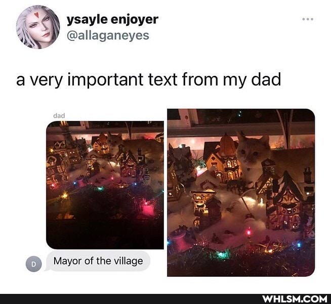 A\ ysayle enjoyer
@allaganeyes
a very important text from my dad
Mayor of the village