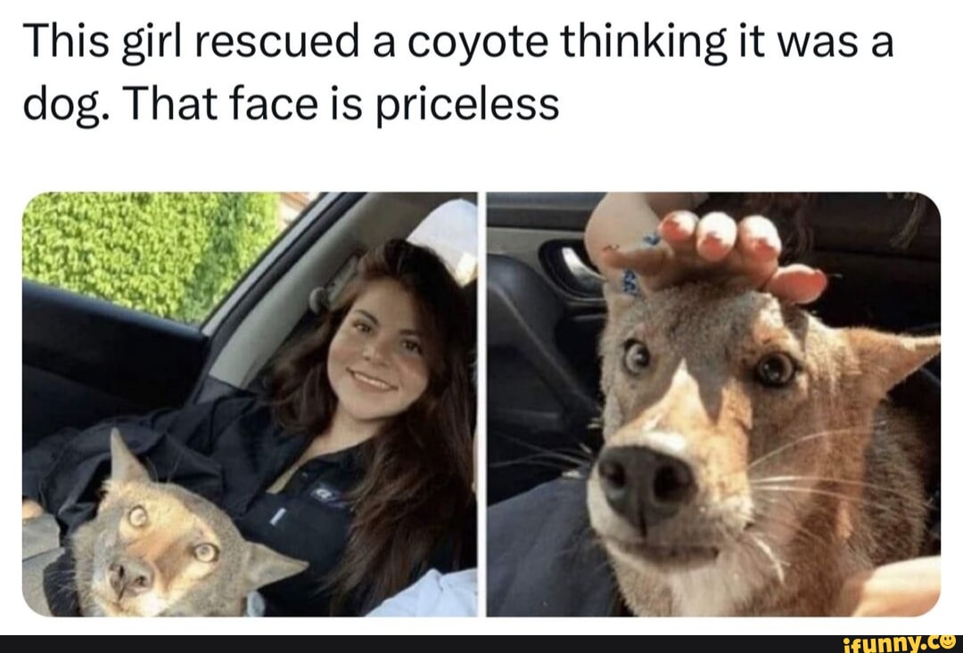 FOODS THAT FIGHT INFLAMMATION Chronic inflammation has been linked to