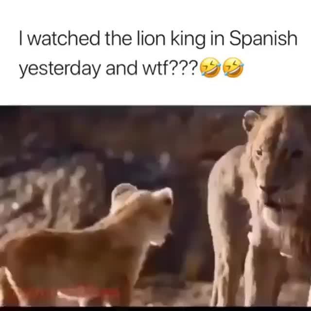 25 Lion King Memes That Are Better Than The Movie Itself