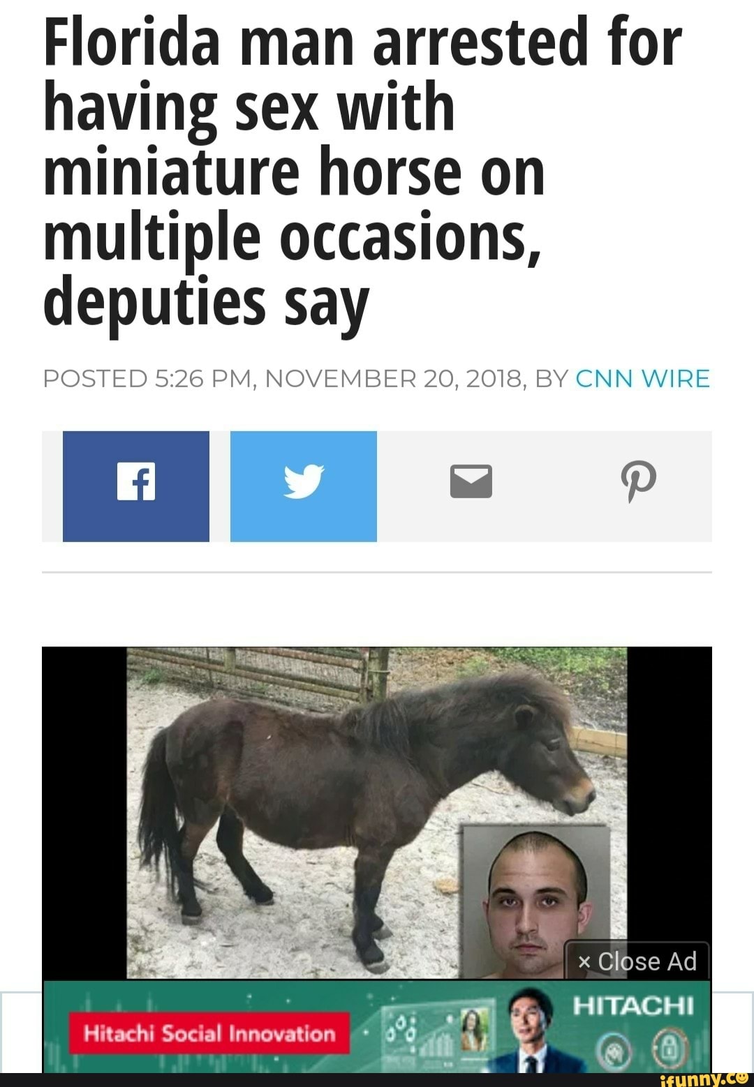 Florida man arrested for having sex with miniature horse on multiple  occasions, depuﬁessay - iFunny