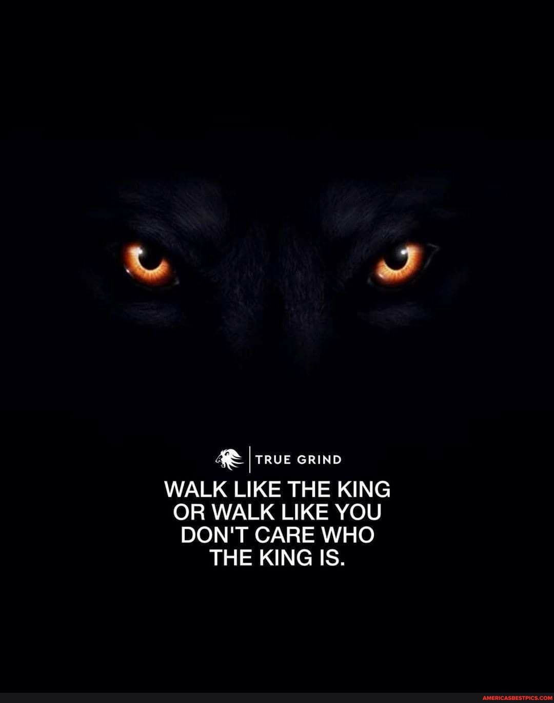 TRUE GRIND
WALK LIKE THE KING OR WALK LIKE YOU DON'T CARE WHO THE KING IS.