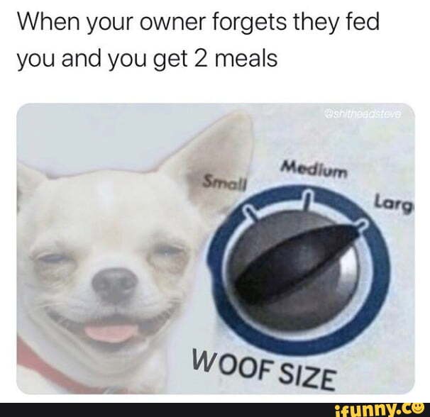 When your owner forgets they fed
you and you get 2 meals