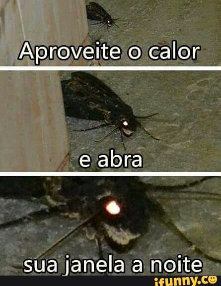 Aproveite o calor;
e abra
sua janela noite