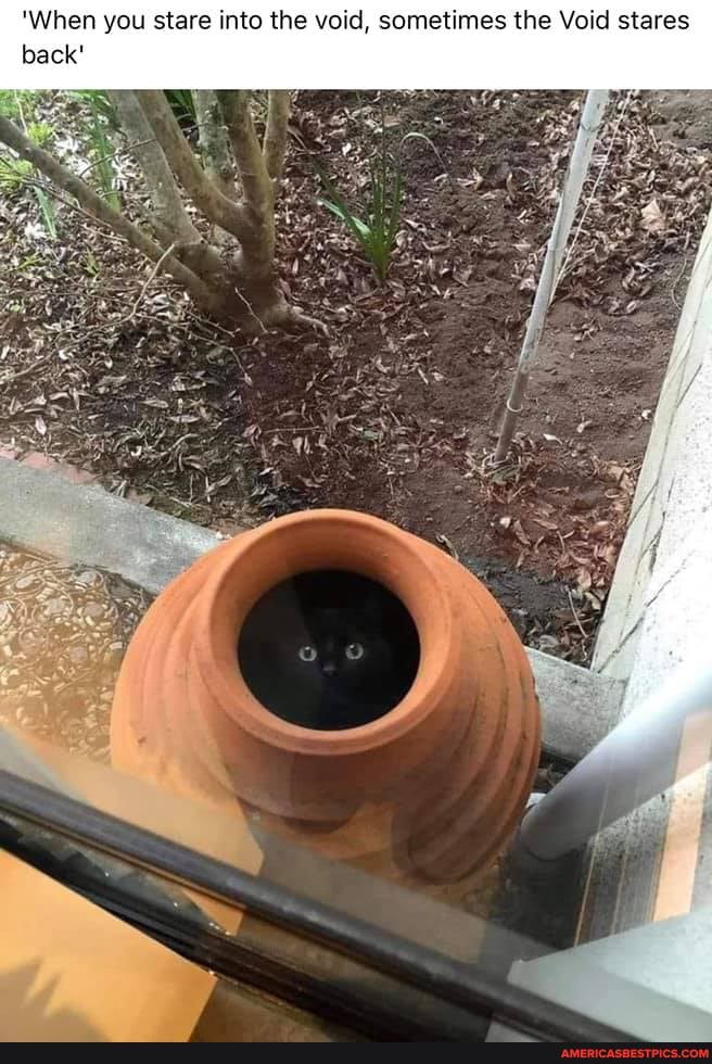 When you stare into the void, sometimes the Void stares back'