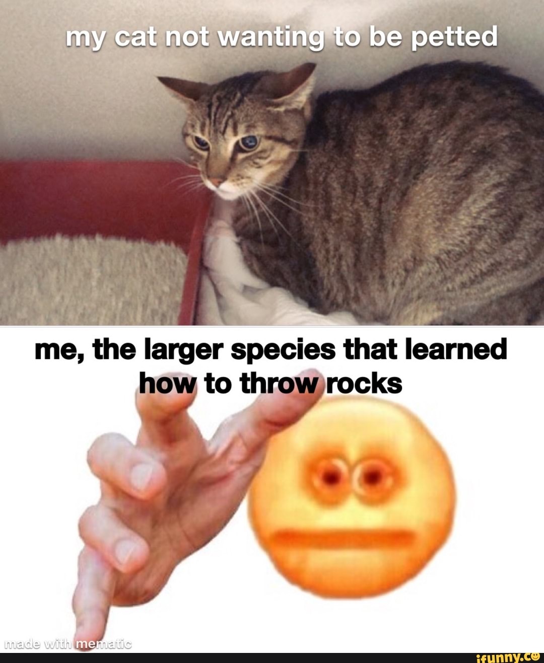 me, the larger species that
learned
how to th rocks