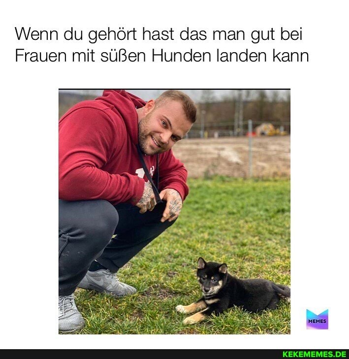 Wenn du gehört hast das man gut bei
Frauen mit süßen Hunden landen kann
