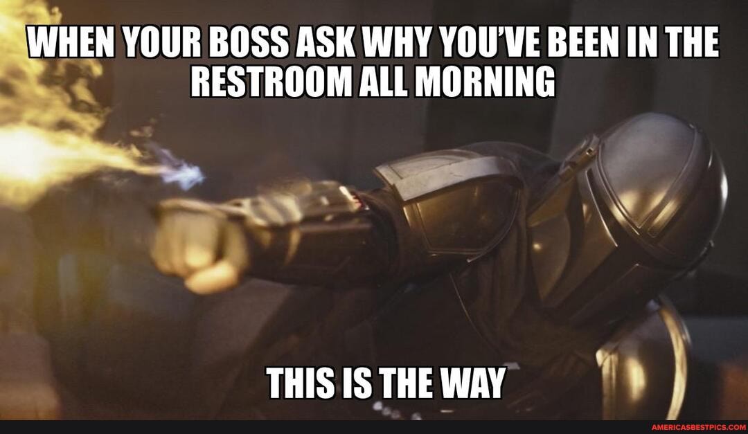 WHEN YOUR BOSS ASK WHY YOU'WE BEEN IN THE RESTROOM ALL MORNING