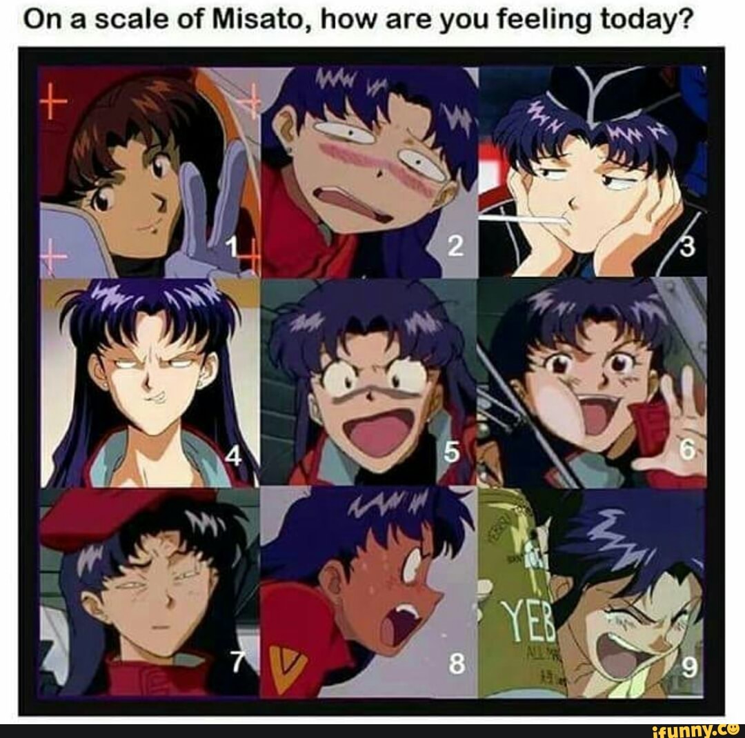 On A Scale Of Misato How Are You Feeling Today Ifunny
