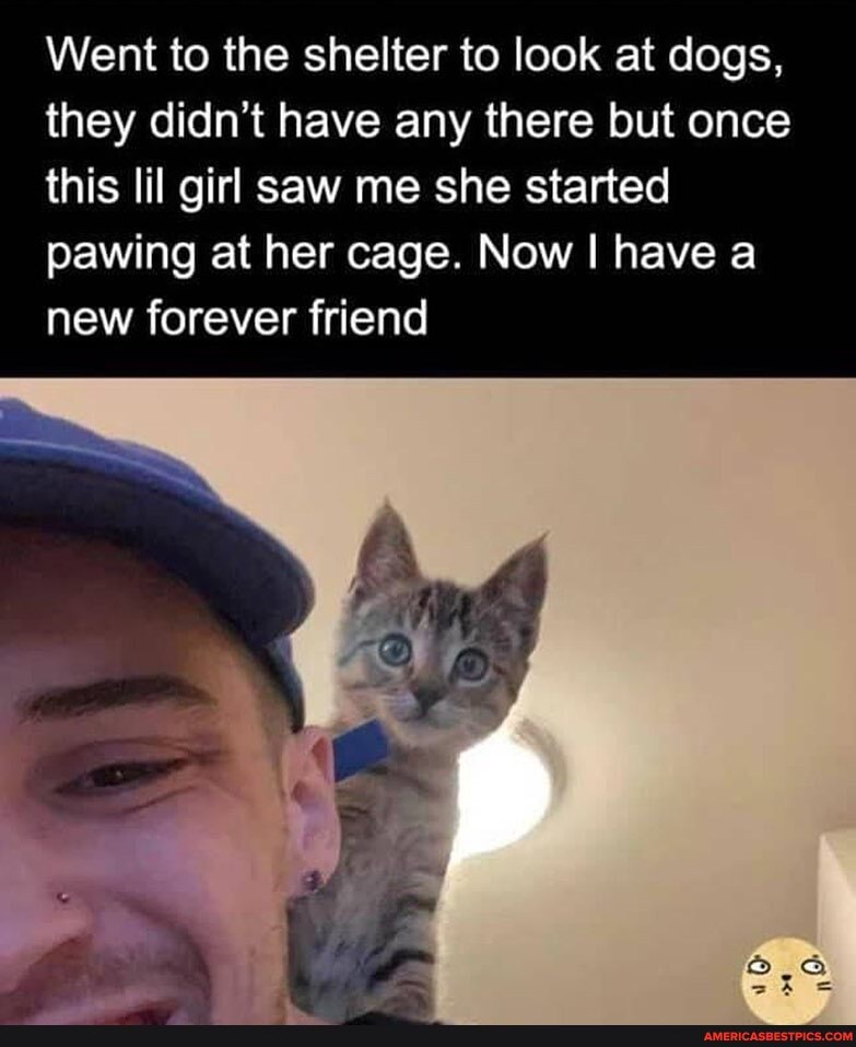 Went to the shelter to look at dogs, they didn't have any there but once this lil girl saw me she started pawing at her cage. Now I have a new forever friend