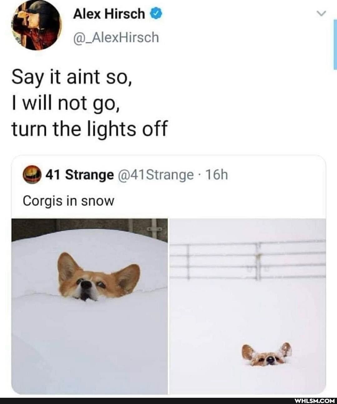 Alex
AlexHirsch
Say it aint so,
I will not go, turn the lights off
@Q 41 Strange @41 Strange
Corgis in snow
