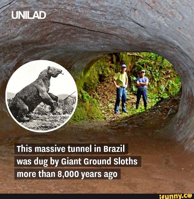 UNILAD This massive tunnel in Brazil was dug by Giant Ground Sloths