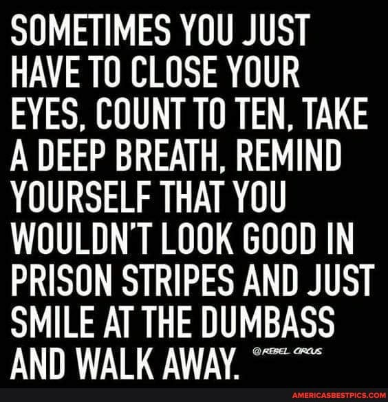 SOMETIMES YOU JUST HAVE TO CLOSE YOUR EYES, COUNT TO TEN, TAKE A DEEP BREATH, REMIND YOURSELF THAT YOU WOULDN'T LOOK GOOD IN PRISON STRIPES AND JUST SMILE AT THE DUMBASS AND WALK AWAY.