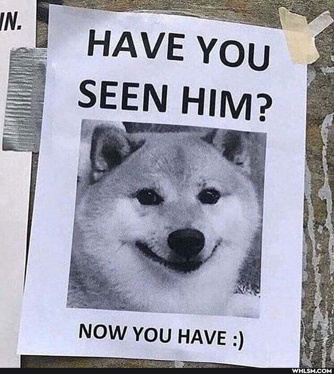 NOW YOU HAVE