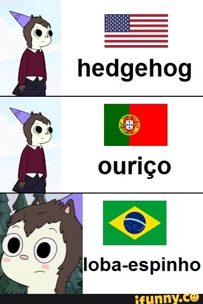 hedgehog
ouriço