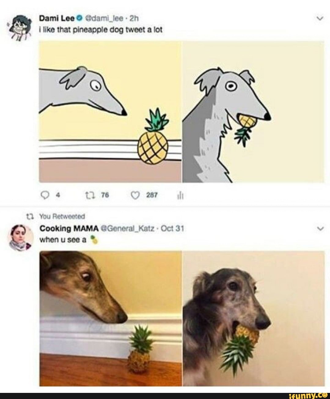 When the 31. Pineapple Dog. ЛОЛ Мем животные. The Dog is wet картинка с предложением.