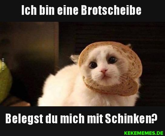 Ich bin eine Brotscheibe
Beleust du mich mitSchinken?