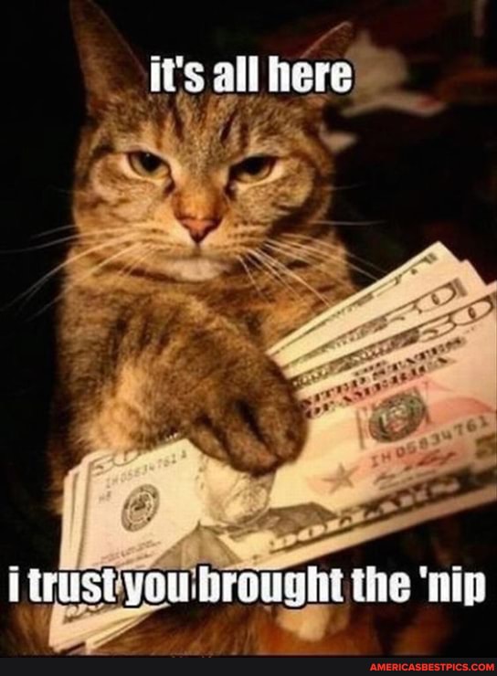 it's all here
i trust you rought the 'nip
