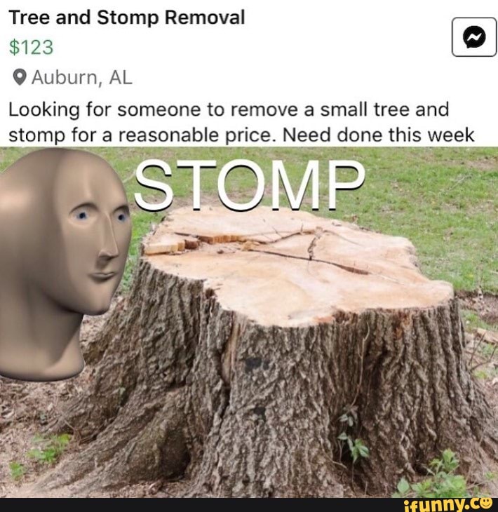 Tree and Stomp Removal $123 Auburn, AL Looking for someone to remove a ...